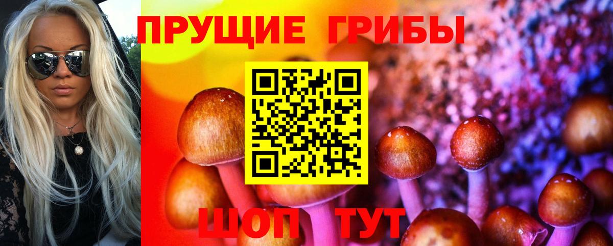 Псилоцибиновые грибы Cubensis  Псилоцибиновые грибы мухоморы  Вход с VPN  Качканар 